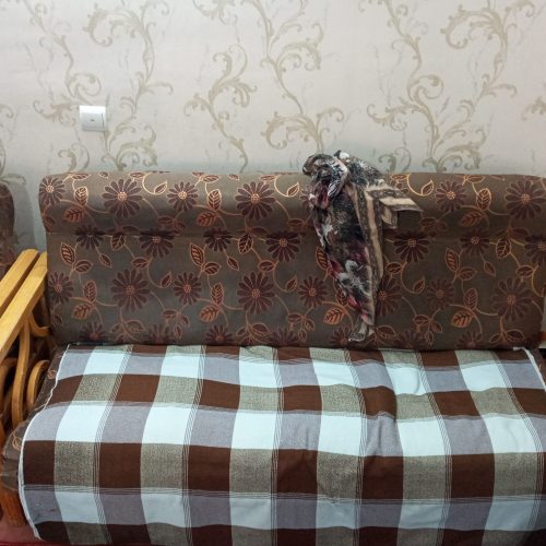 یک دست مبل راحتی 7نفره که چوب مبل از جنس چوب خوبی است یعنی خیلی تمیز و خوشگل من همون قیمت چوبشو میگم