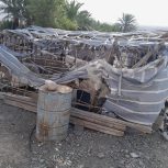 لباس بلوچی