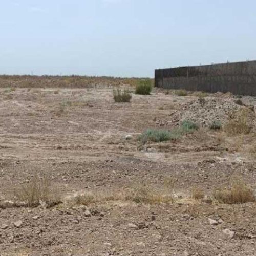 8 هکتار زمین کشاورزی روستا تاجملکی