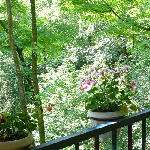 اجاره ویلای مهدی یار