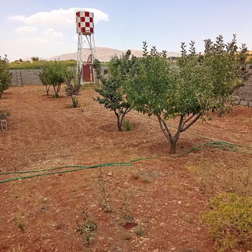 باغچه 1000هزارمتری