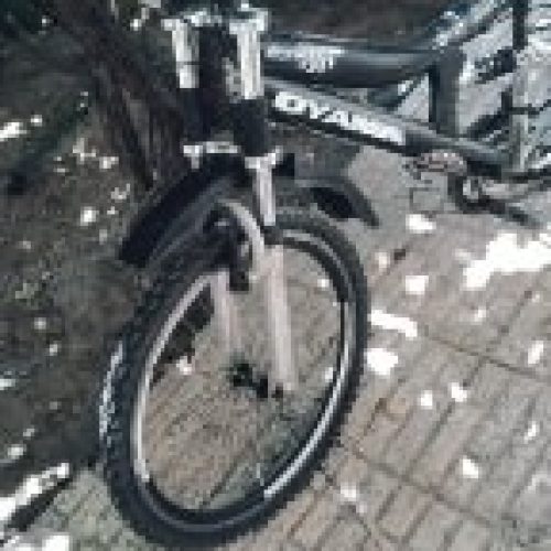 دوچرخه سواری