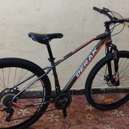 دوچرخه سایز 29 شهری و کوهستانی هستش