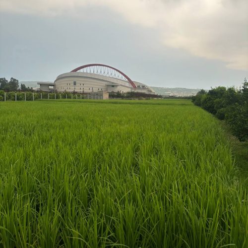 فروش زمین کشاورزی 500هزار متر در ارطه