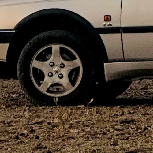 رینگ پنج پر