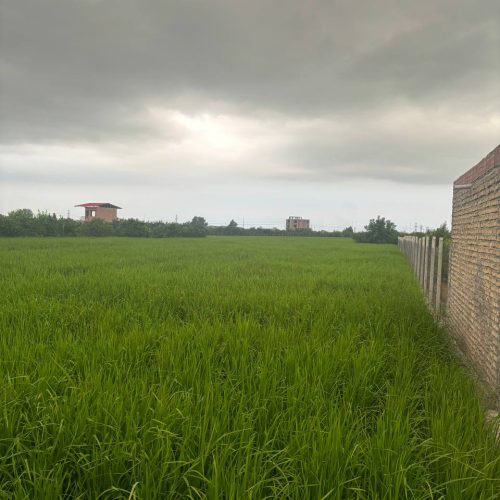 فروش زمین کشاورزی 500هزار متر در ارطه