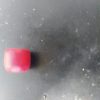 سنگ مهره مرجانی کمیاب
