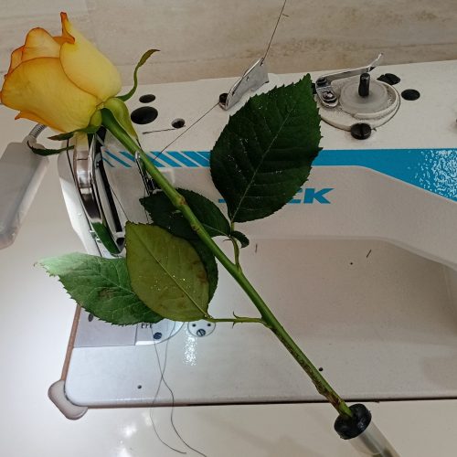 خیاط باتجربه و وردست کاربلد.