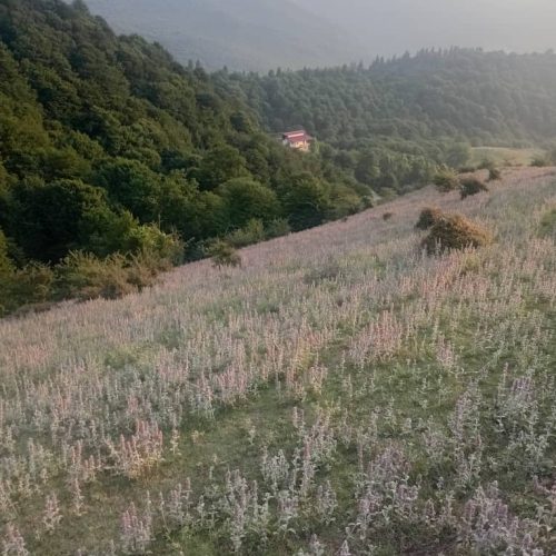 فوری فوری زمین برای ساخت زیراب