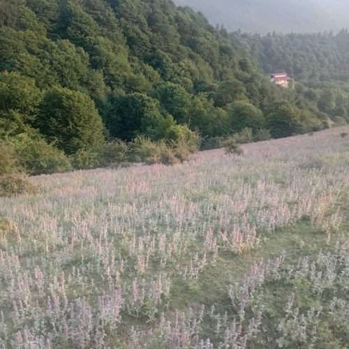 فوری فوری زمین برای ساخت زیراب