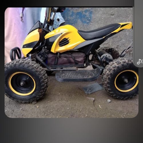 موتور چهارچرخ برقی سرحال