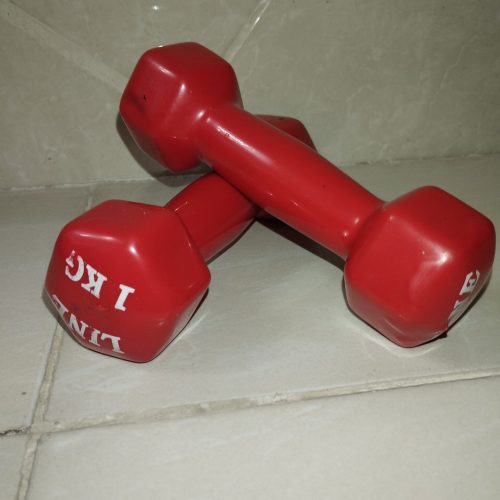 دمبل یک کیلویی اسپرت