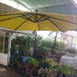 1 عدد چتر 4 متری در حد نو