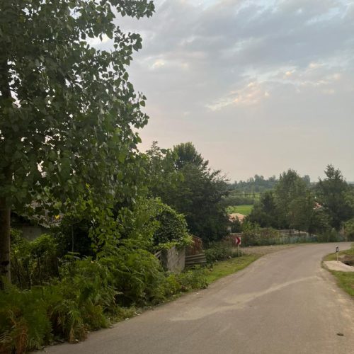 زمین