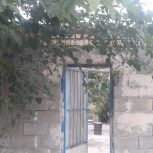 فروش باغ