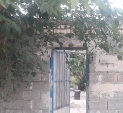 فروش باغ