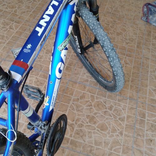 دوچرخه گالانت