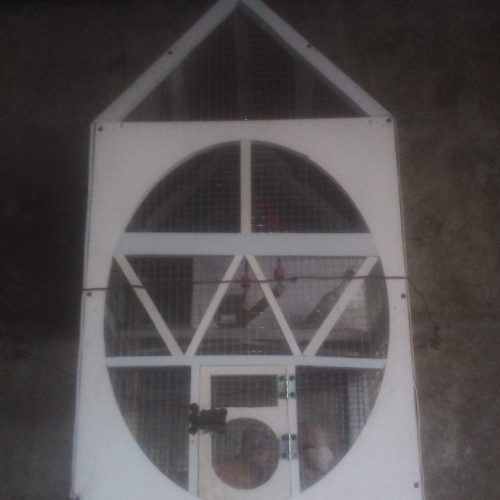 4 عدد یا کریم با قفس دست ساز عالی است