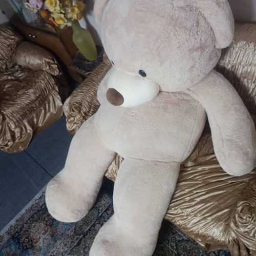 فروش خرس بزرگ