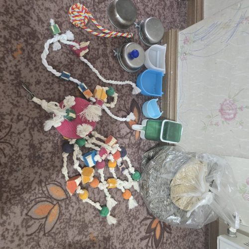 شاه طوطی فوری