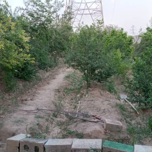 فروش باغ پونصد پنجاه متری