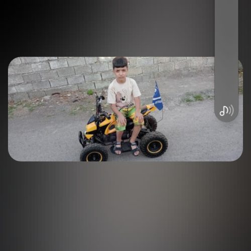 موتور چهارچرخ برقی سرحال