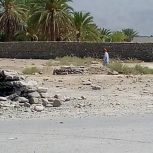 زمین فروشی واقع در سرباز کلات