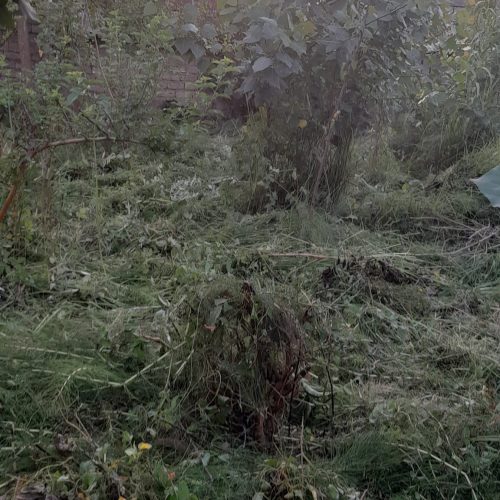 زمین دارای کاربری مسکونی