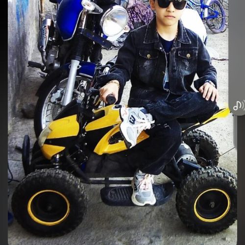 موتور چهارچرخ برقی سرحال