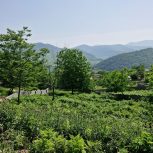 فروش زمین