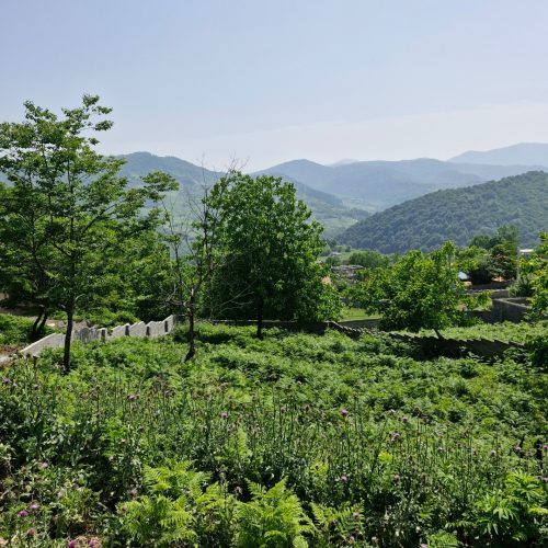 فروش زمین