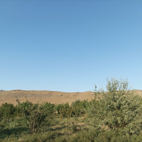 باغ 1600متری راهجرد