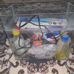 آکواریوم ماهی