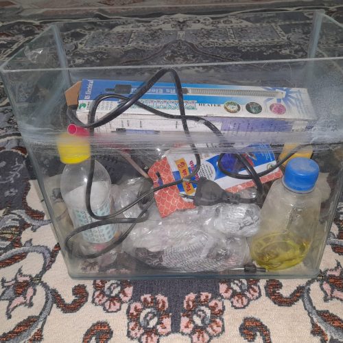 آکواریوم ماهی