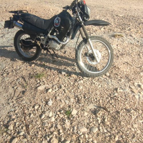 تریل 200 جی وی