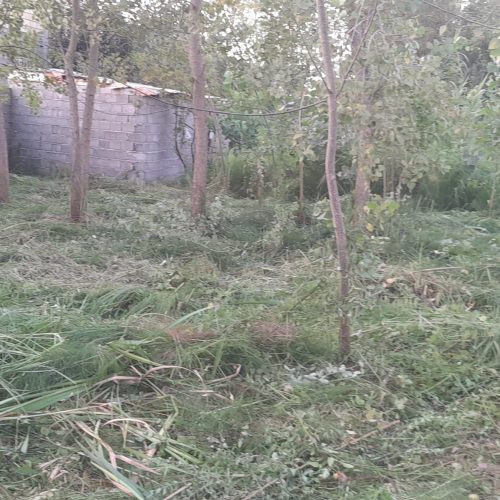 زمین دارای کاربری مسکونی