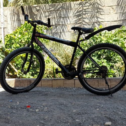 دوچرخه امانو 26