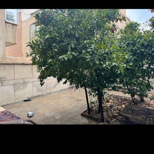 ارزان ترین خابگاه اصفهان در فلکه فیض با بهترین لوکیشن و مجهز با محیطی آرام در خدمت شما هستیم همین الان رزرو کنید