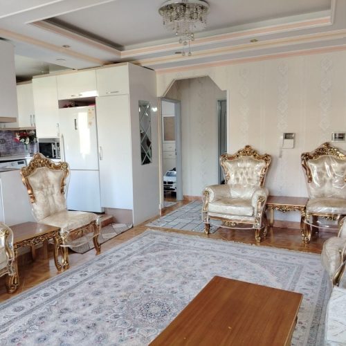 غرق نور با منظره جنگلی