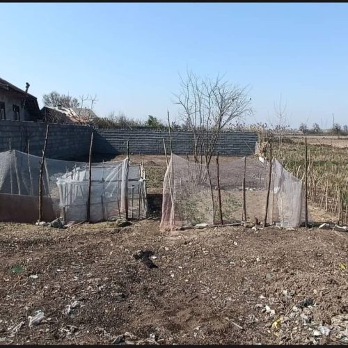 یه قطعه زمین