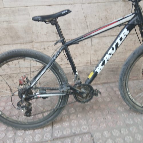 سگ جون ترین و فقط نقد