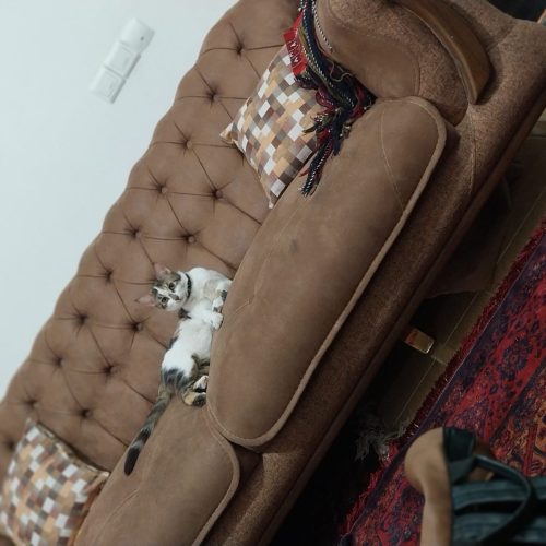 مبل 8 نفره چستر جنس مخمل چرم