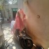 موتور لاکی 180