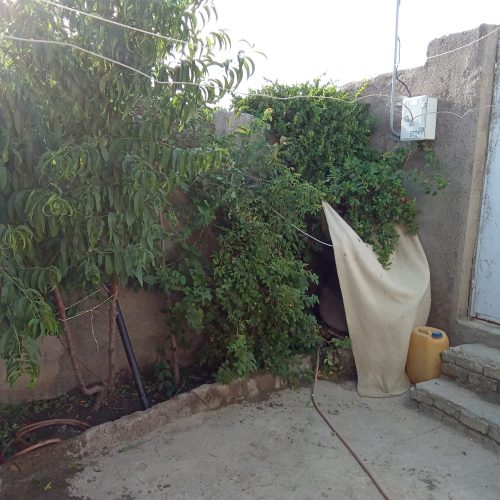 منزل مسکونی در جاده کلات 70کیلومتری