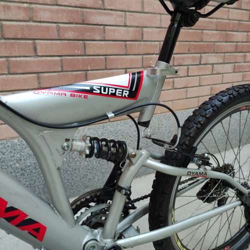 دوچرخه 24 نو