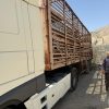 تریلی حمل دام