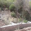 زمین 200 متری در منطقه بکر امامه