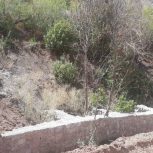 زمین 200 متری در منطقه بکر امامه