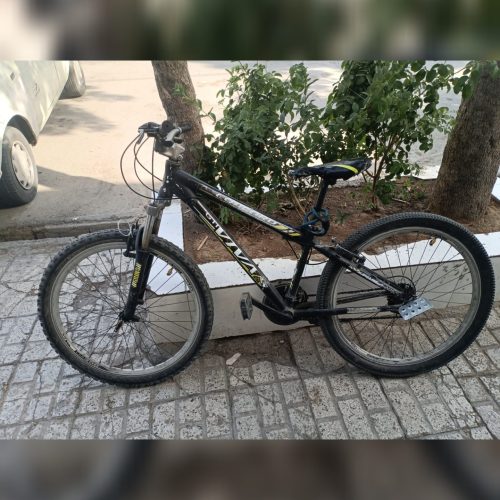 دوچرخه ویوا 26