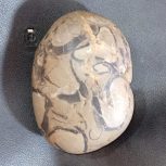 سنگ پالم اسپارتین